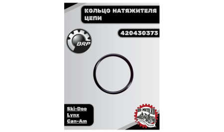 Кольцо уплотнительное натяжителя нижнее G1